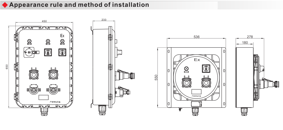 BXS51 Explosion Proof Illumination(Power) Distribution Box