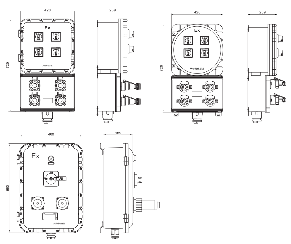 BXS51 Explosion Proof Illumination(Power) Distribution Box