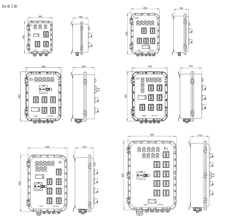 BXM(D)51 Explosion Proof Illumination(Power) Distribution Box