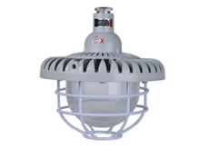 Explosion Proof Light LED