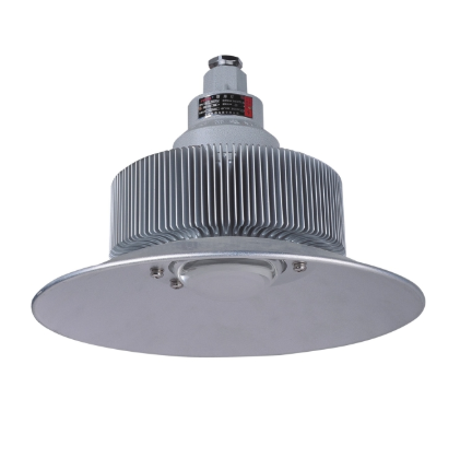 Explosion Proof Maintenance Free Led Floodlight