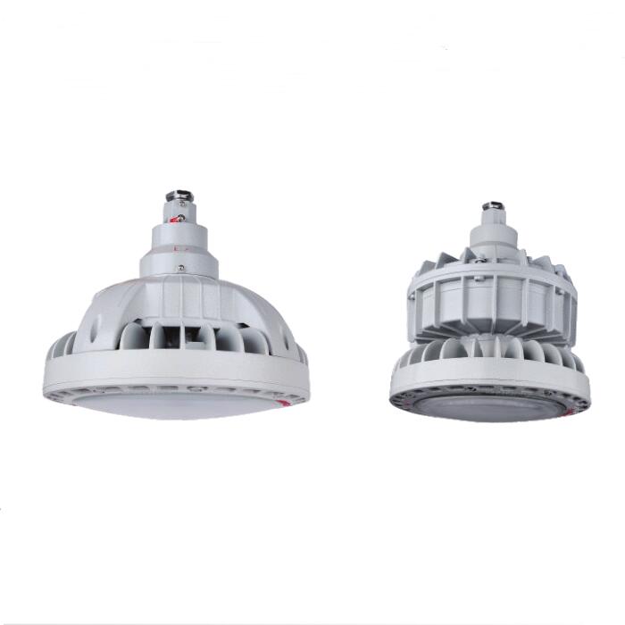 Zone 1 Zone 2 LED Light