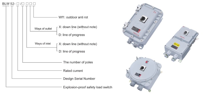 BLW52 Explosion Proof Safety Load Switch