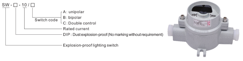 SW-10 Explosion Proof Lighting Switch