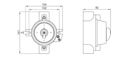 SW-10 Explosion Proof Lighting Switch