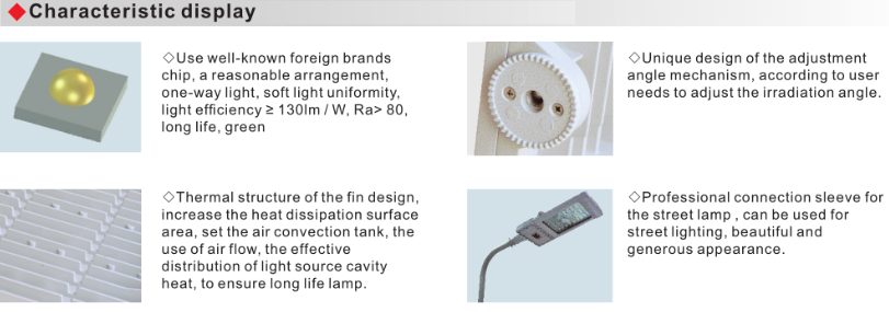 BAT55 Explosion Proof Energy-Efficient Led Floodlight