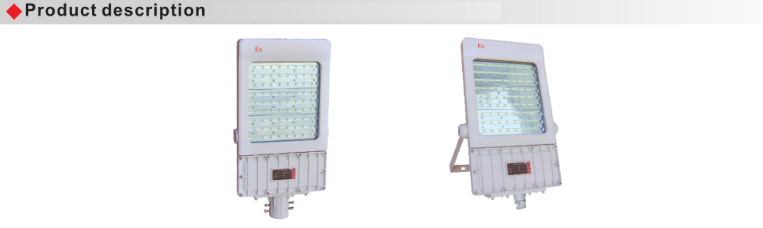 BAT55 Explosion Proof Energy-Efficient Led Floodlight