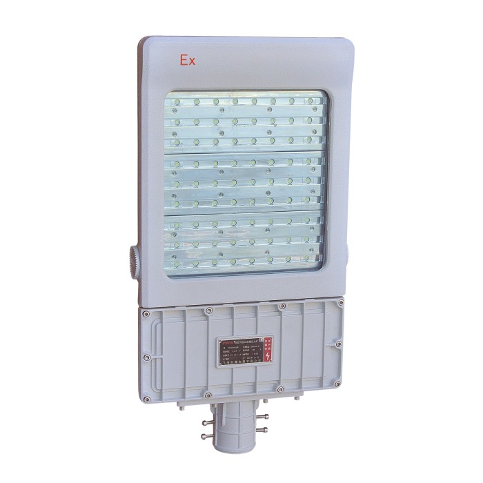 Explosion Proof LED Flood Light